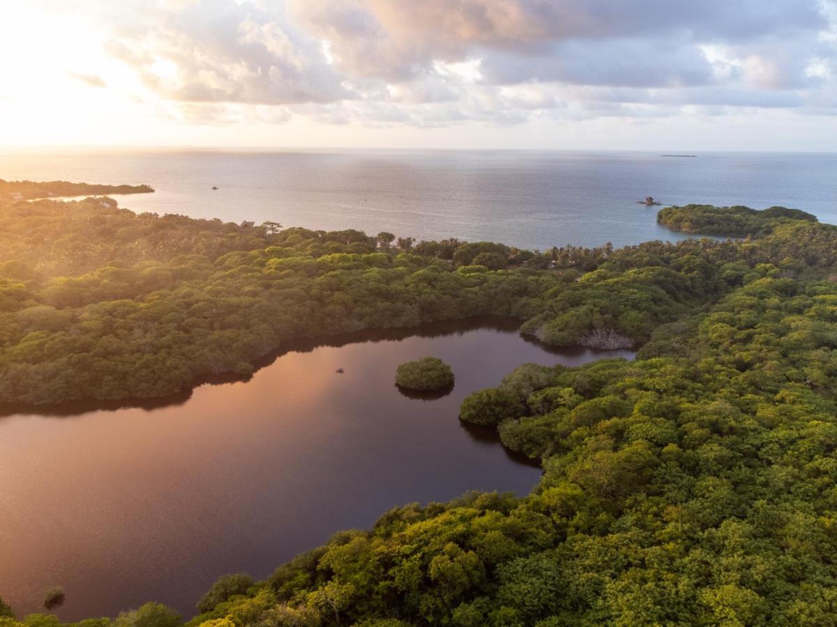 Rosario Ecohotel Isla Grande  Zewnętrze zdjęcie